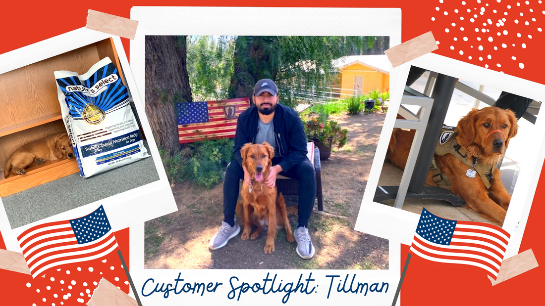 Customer Spotlight: Tillman