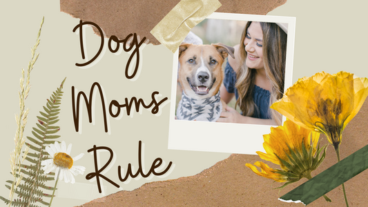 Happy Dog Mom's Day!
