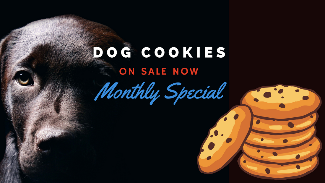 Monthly Special: Dog Cookies