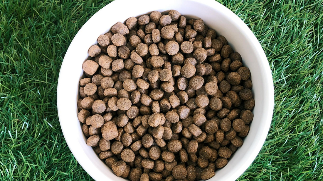 How to Keep Pet Food Fresh