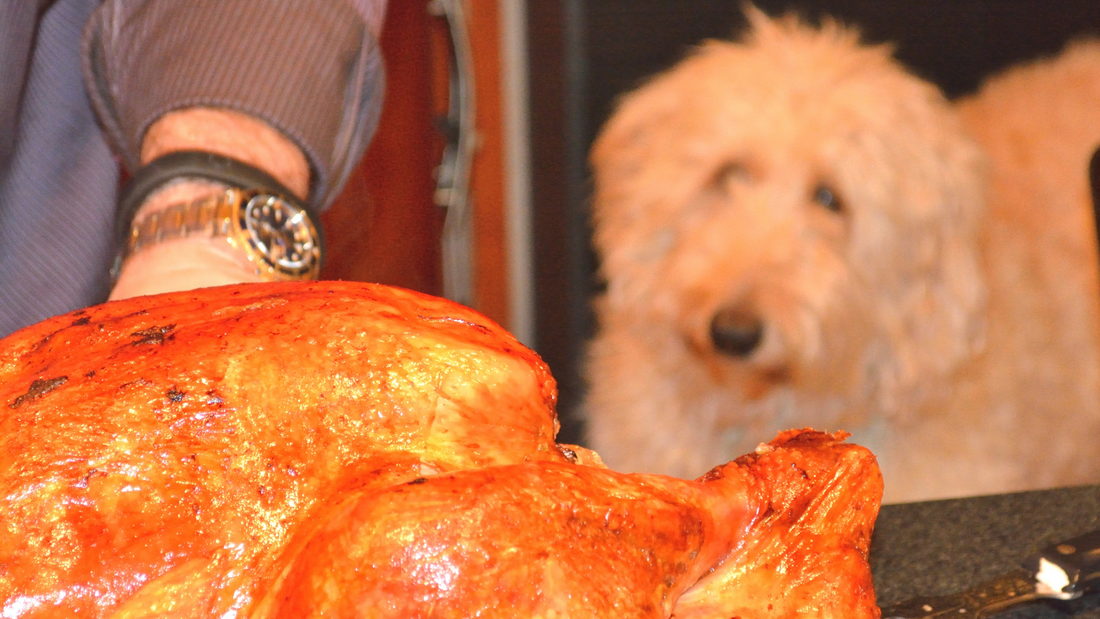 Thanksgiving Do's and Don'ts for Pet Owners