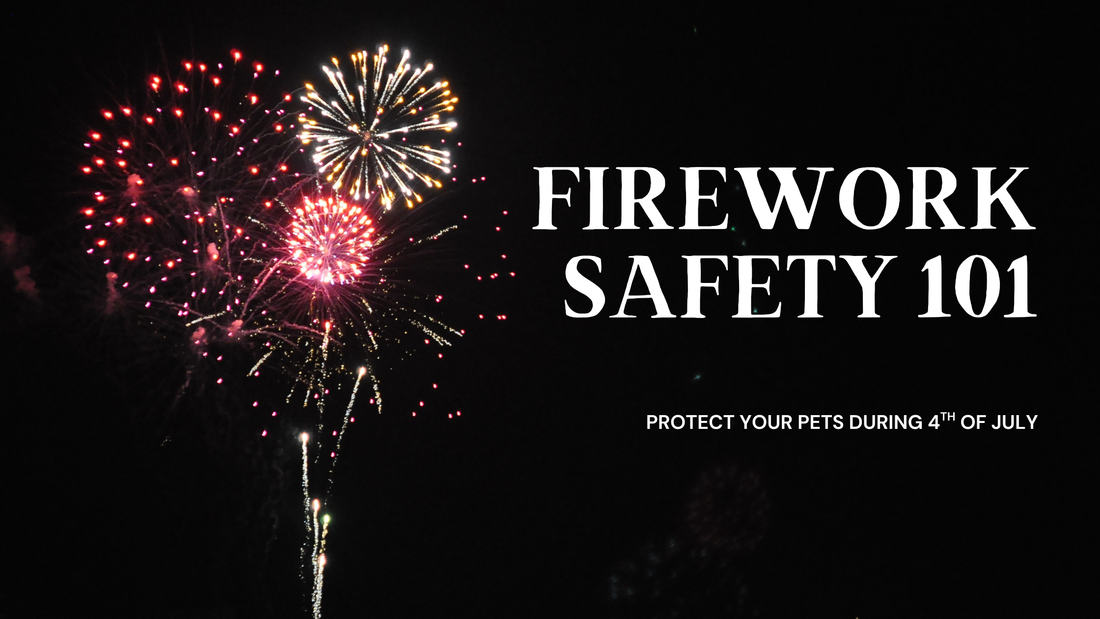 Firework 101 for Pets