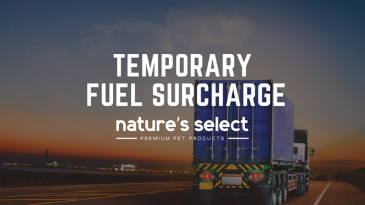 Temporary Fuel Surcharge