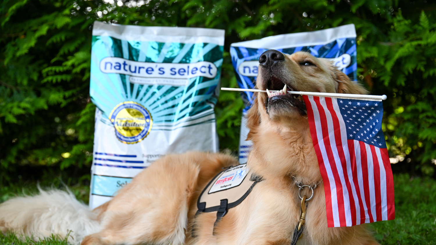 Proud Partner Spotlight Nature's Select Pet Food