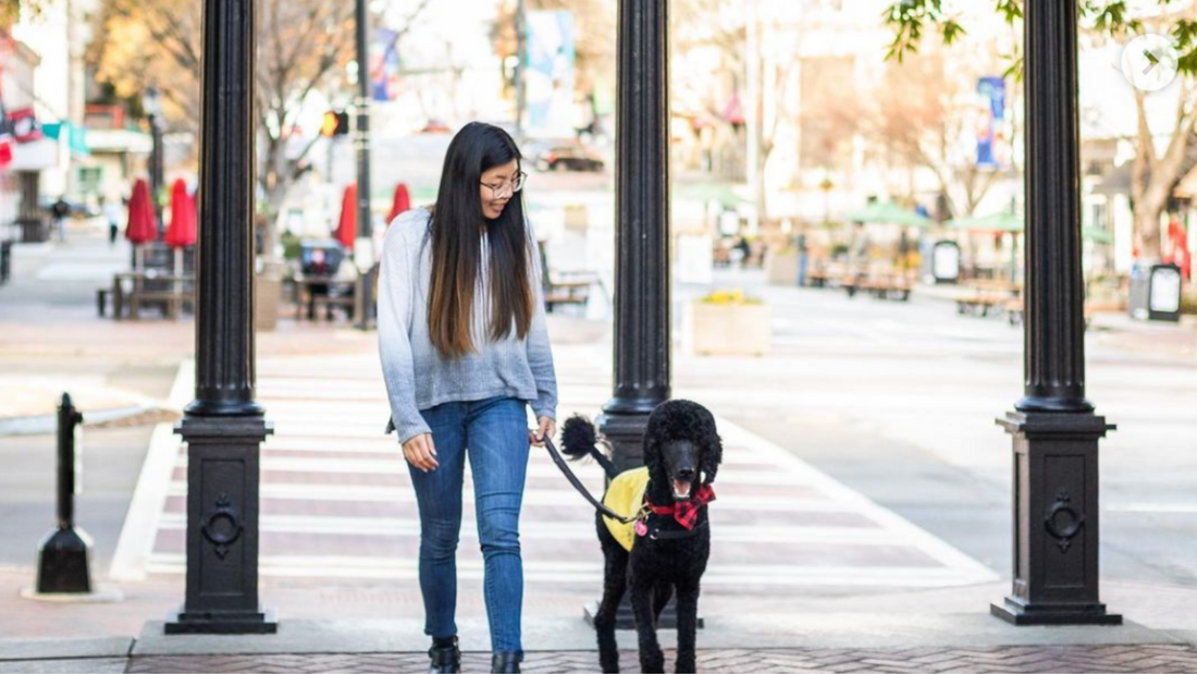 International Guide Dog Day