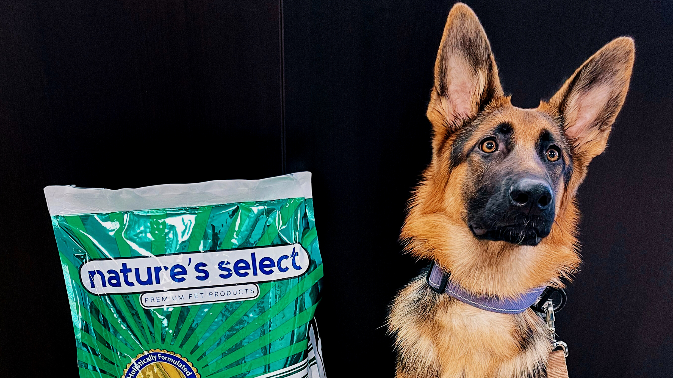 Nature's Select on Instagram – Nature's Select Pet Food