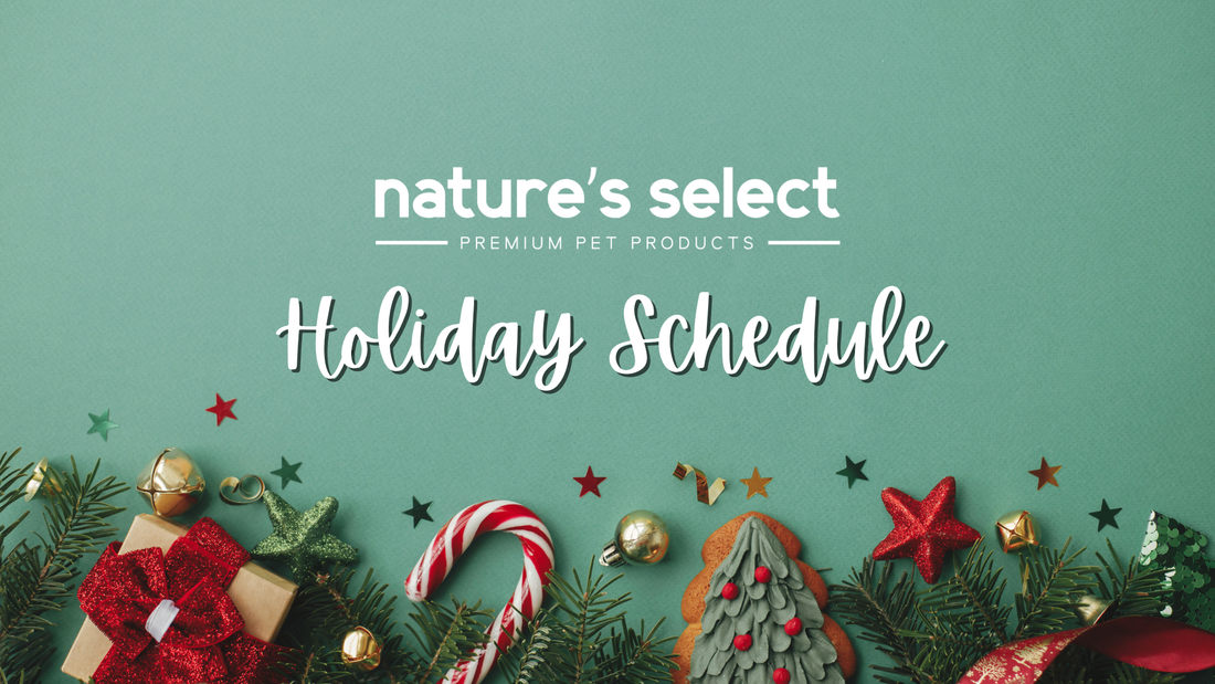 Holiday Schedule 2025