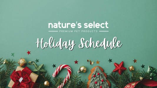 Holiday Schedule 2025