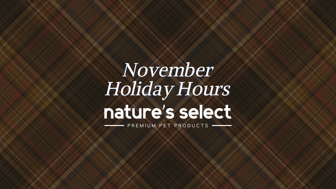 November Holiday Hours