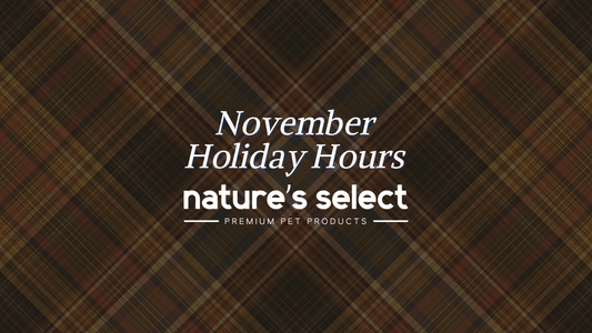 November Holiday Hours