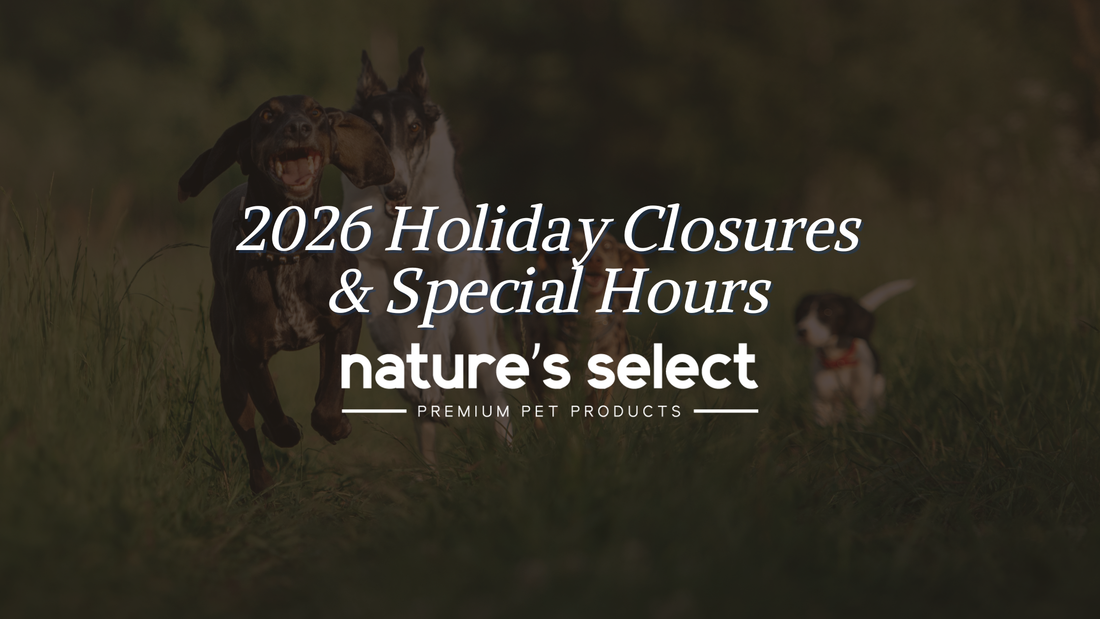 2026 Holiday Schedule