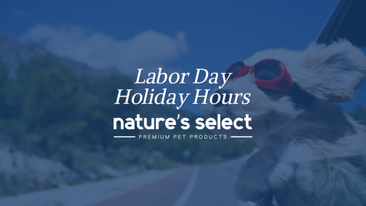 Upcoming Holiday Schedule