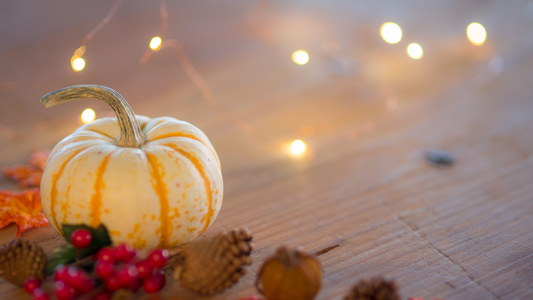 Thanksgiving Schedule