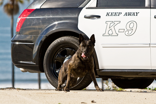 We Support Police K-9s