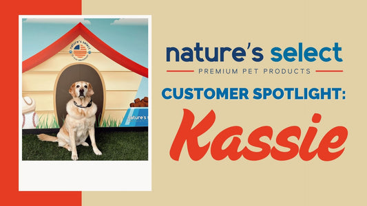 Customer Spotlight: Kassie