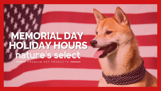 Holiday Hours