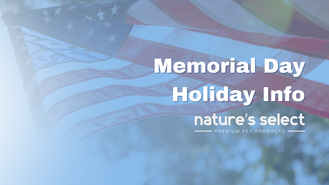 Memorial Day Info