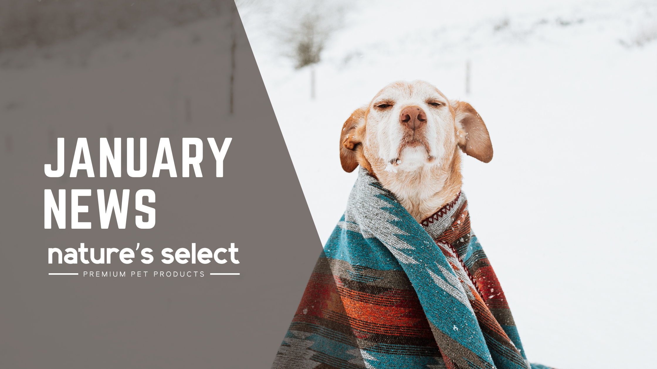 January Newsletter – Nature's Select Pet Food