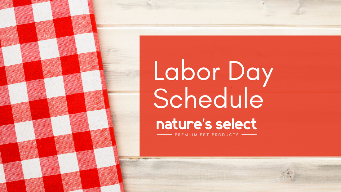 Labor Day Info