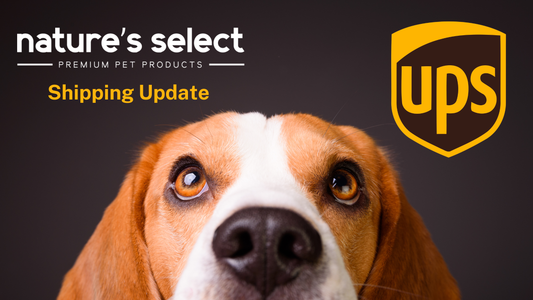 Shipping Update July 2026