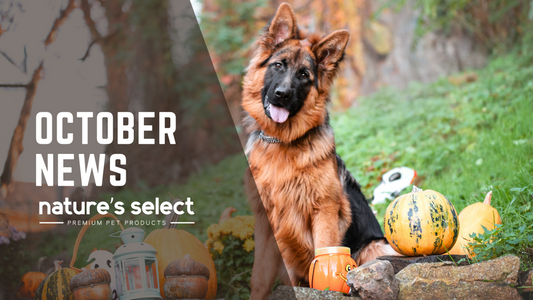 October Newsletter