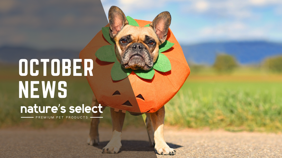 October Newsletter