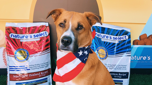 Patriotic Pups