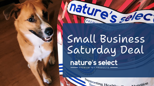 Small Business Saturday