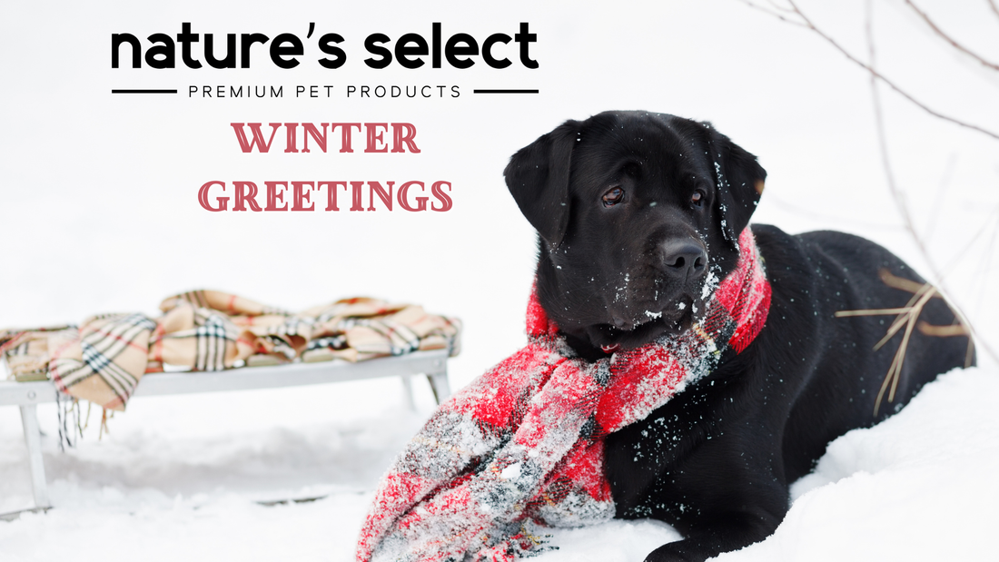 Pawsitive Changes for 2026