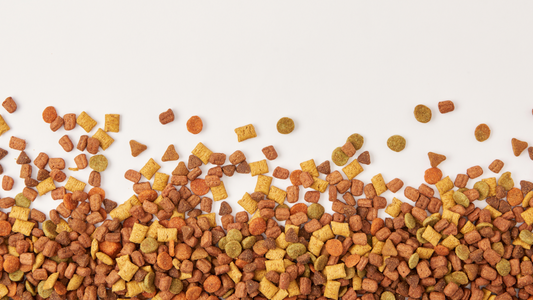 The Weaknesses of Modern Dog Food
