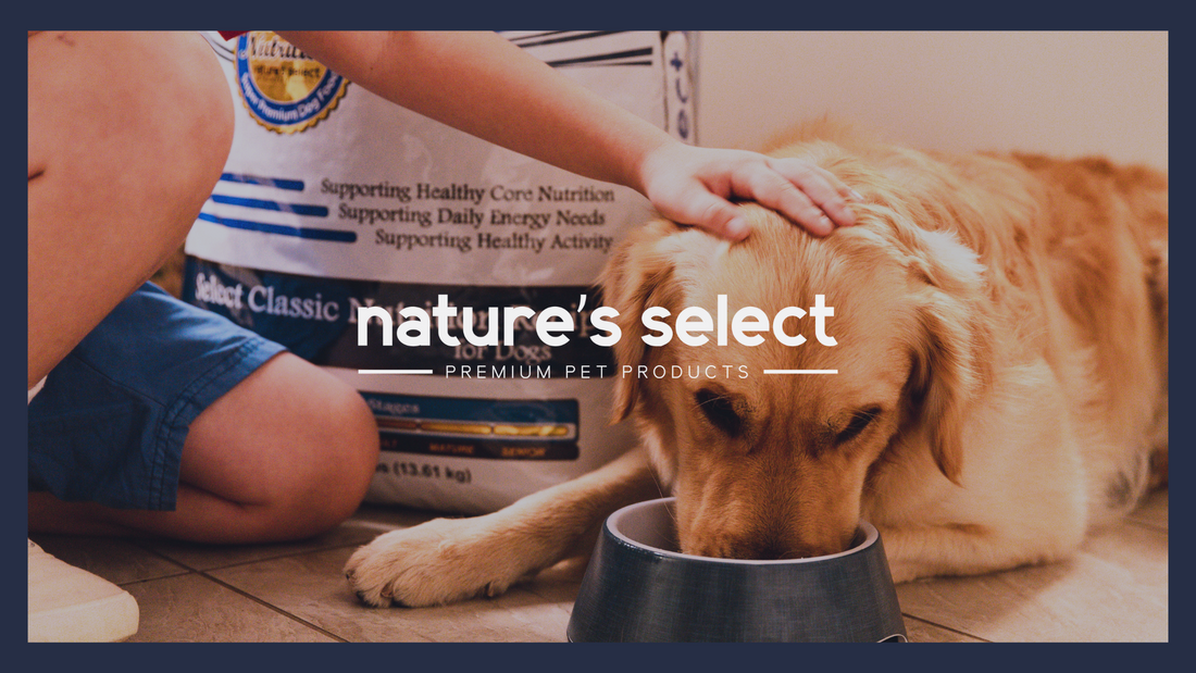 2026 Referral Program