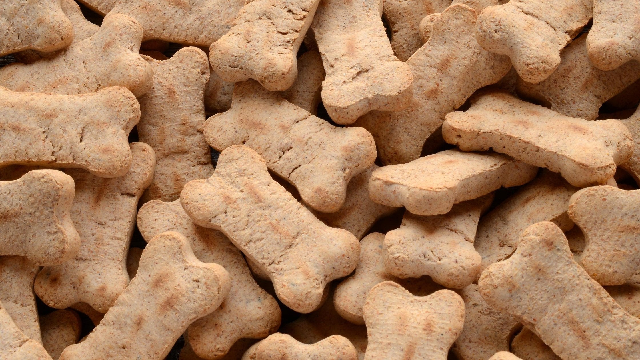 Nature's Select Pet Food