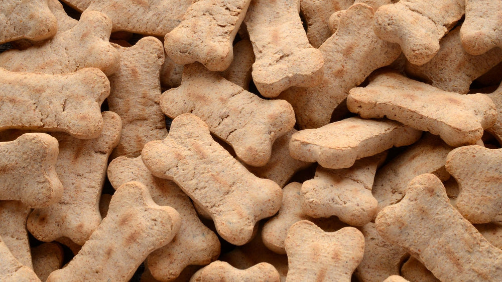 Nature's Select Pet Food