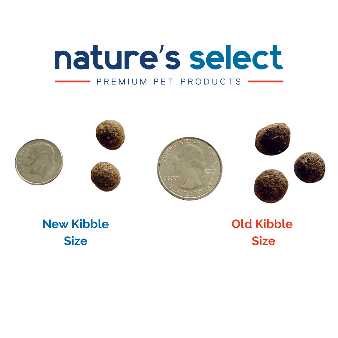 Nature's Select Classic Chicken & Rice Recipe, Dry Dog Food for Adults