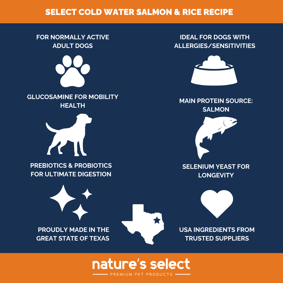 Nature's Select Cold Water Salmon & Rice Recipe, Dry Dog Food for Adults
