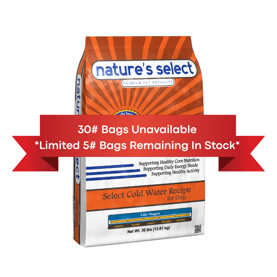 Nature's Select Cold Water Recipe - White Fish & Sweet Potato, Dry Dog Food for All Life Stages