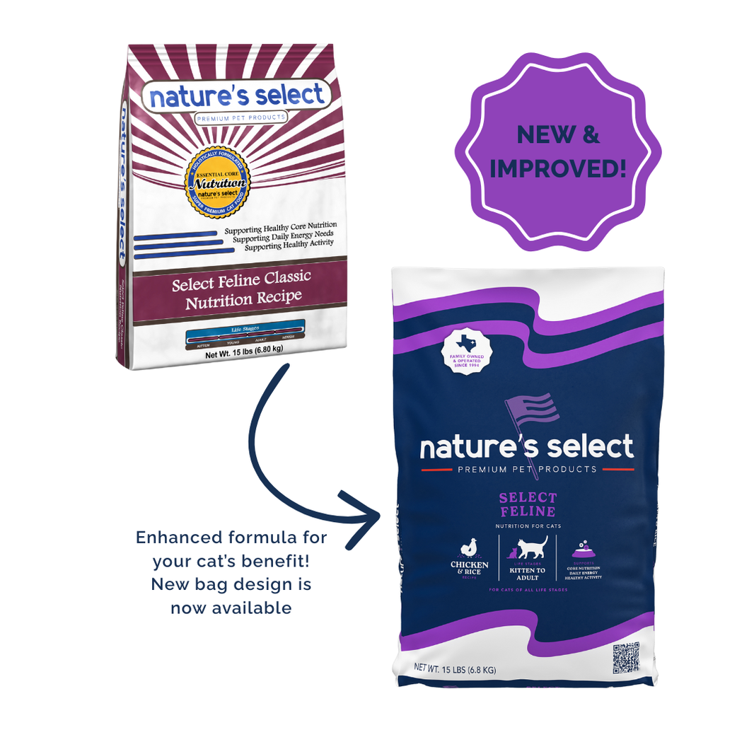 Dry Food – Nature's Select Pet Food