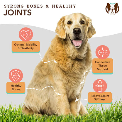 Hip & Joint Supplement for Dogs (90 chews)