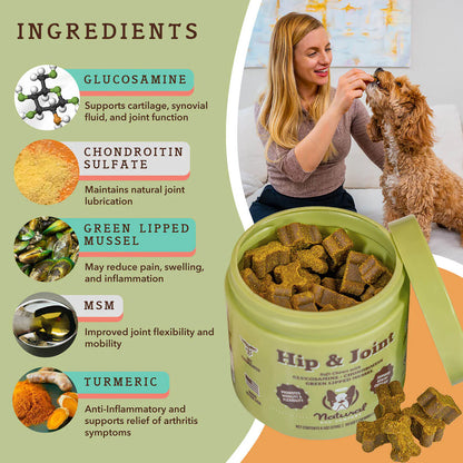 Hip & Joint Supplement for Dogs (90 chews)