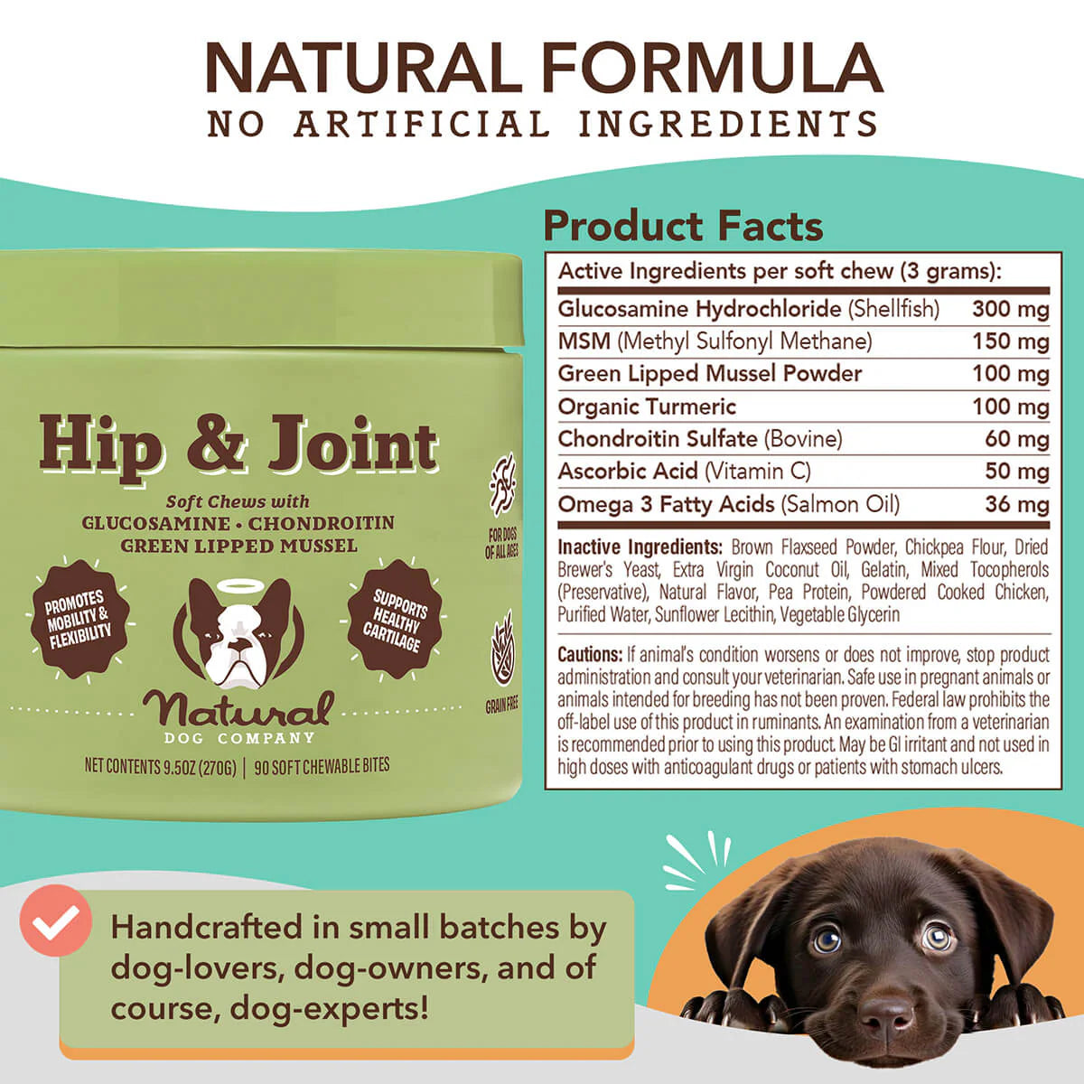 Hip & Joint Supplement for Dogs (90 chews)