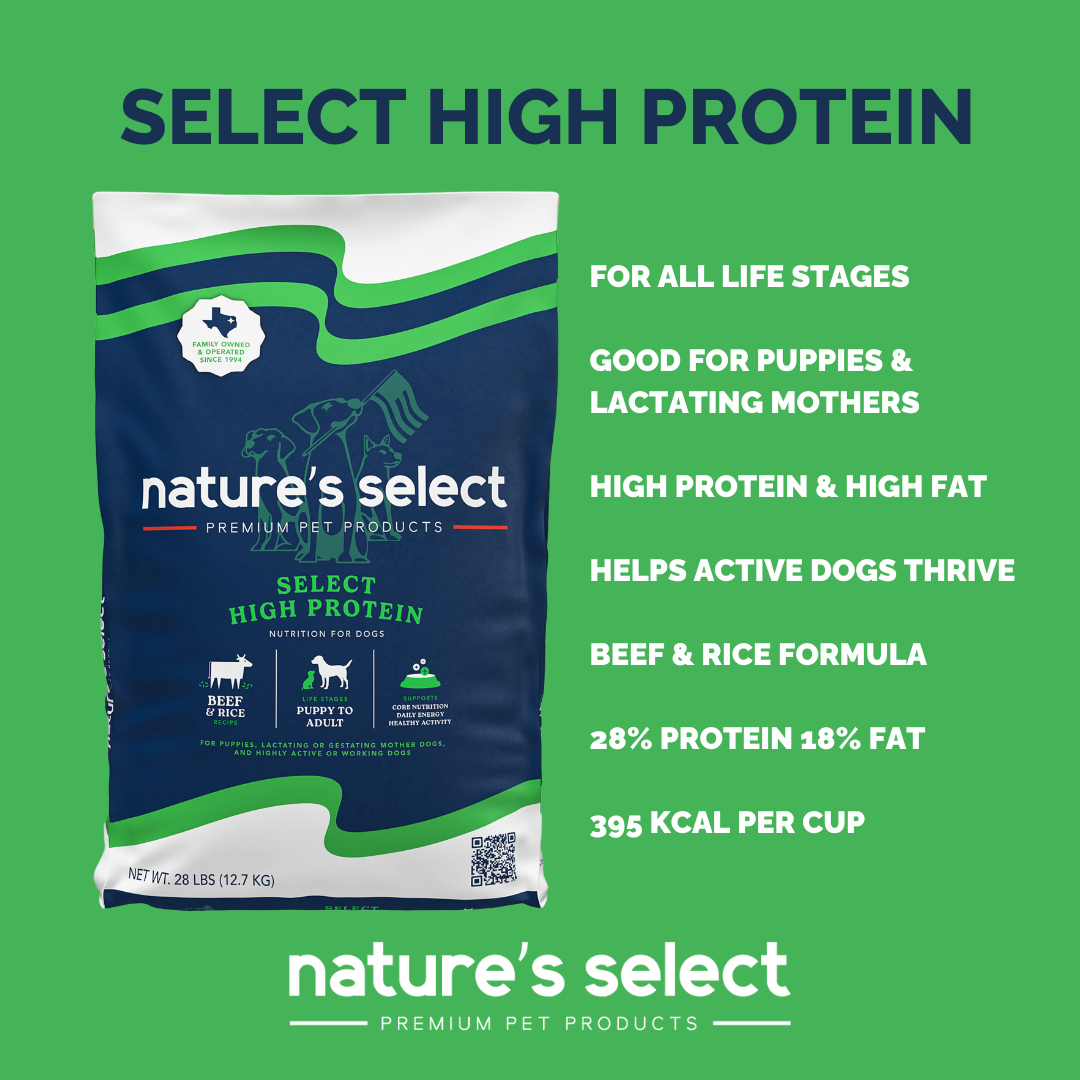 Nature's Select High Protein Recipe - Beef & Rice, Dry Dog Food for All Life Stages