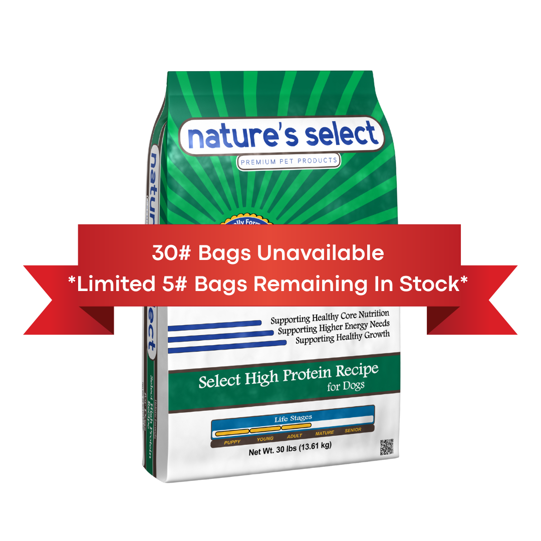 Nature's Select High Protein Recipe - Chicken & Rice, Dry Dog Food for All Life Stages