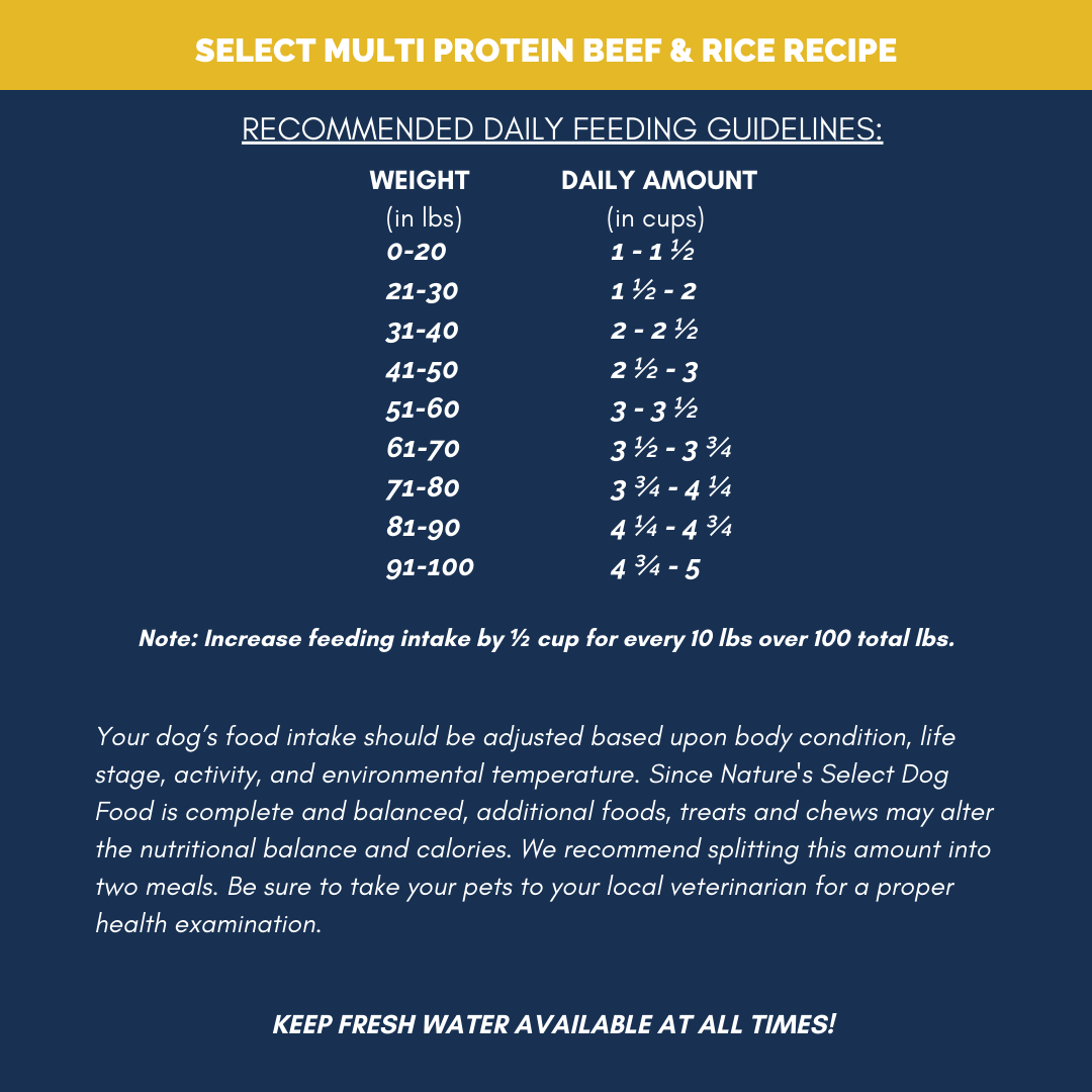 Nature's Select Multi Protein Beef & Rice Recipe, Dry Dog Food for Adults