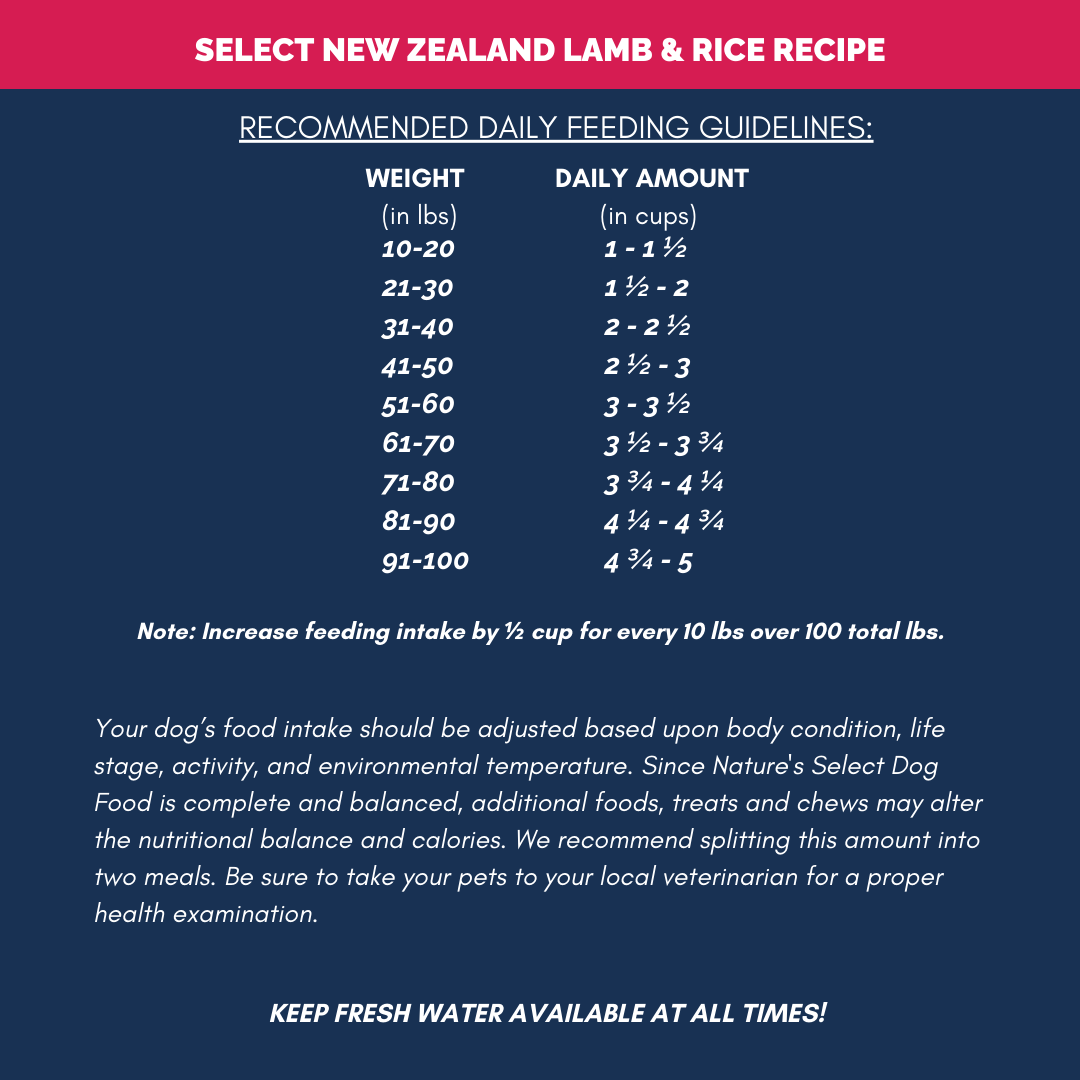 Nature's Select New Zealand Lamb & Rice Recipe - Dry Dog Food for Adults