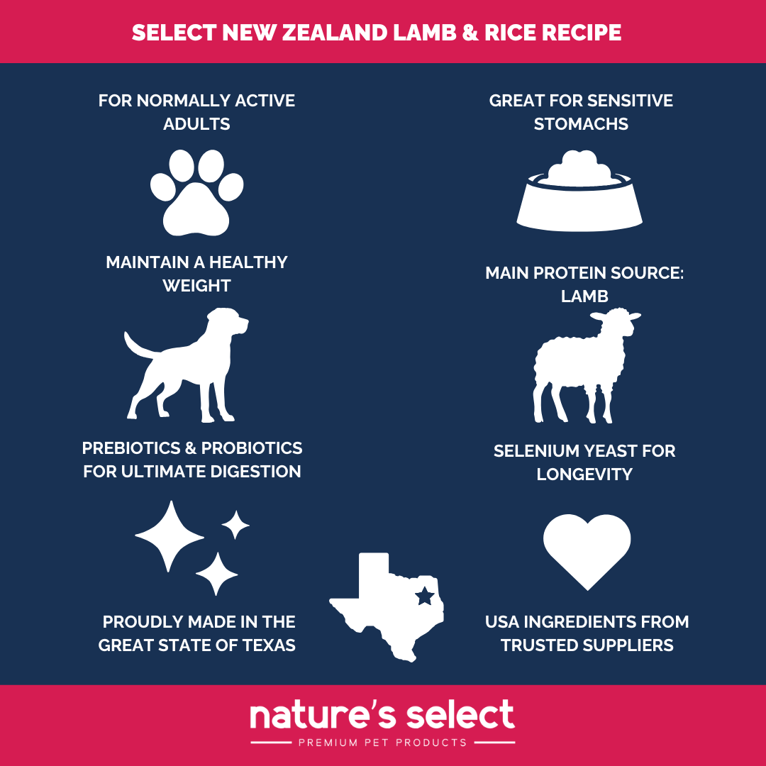 Nature's Select New Zealand Lamb & Rice Recipe - Dry Dog Food for Adults
