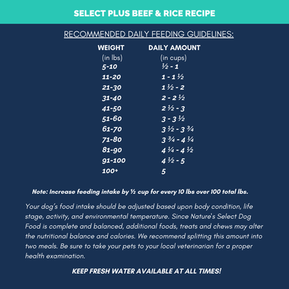 Nature's Select Plus - Beef & Rice Recipe, Dry Dog Food for Adults