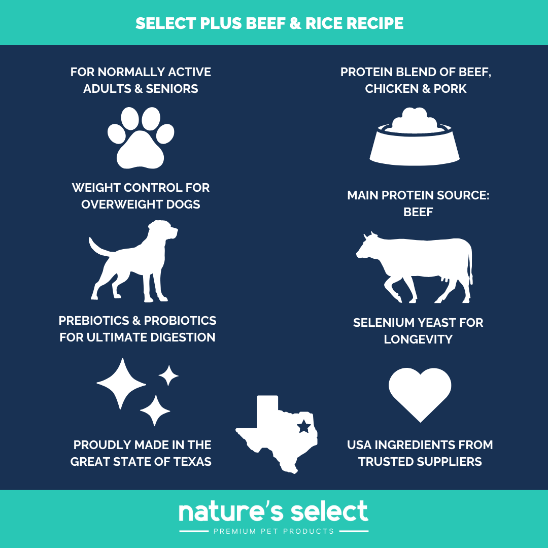 Nature's Select Plus - Beef & Rice Recipe, Dry Dog Food for Adults