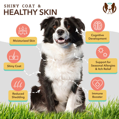 Skin & Coat Supplement for Dogs (90 chews)