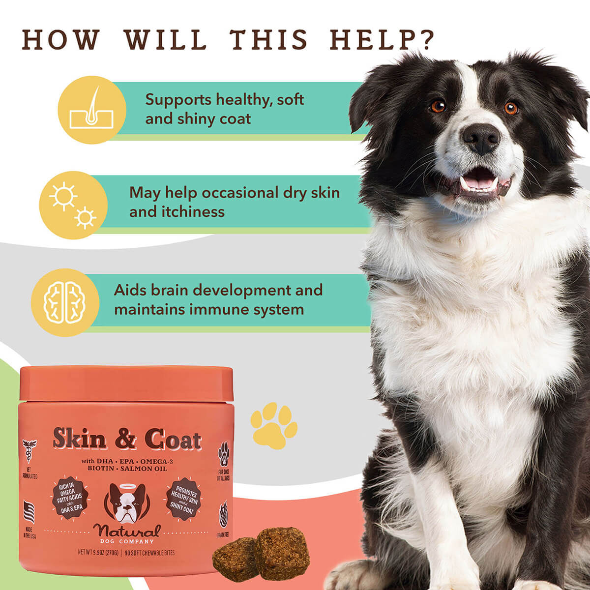 Skin & Coat Supplement for Dogs (90 chews)