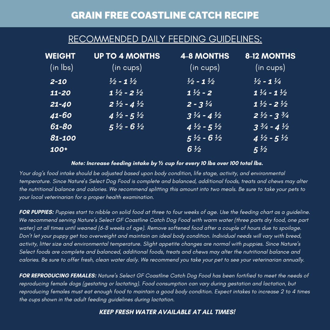 Nature's Select Coastline Catch Recipe - Grain Free Fish, Dry Dog Food for Adults